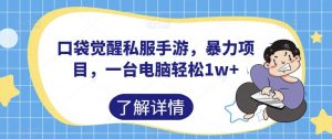 口袋觉醒私服手游,暴力项目,一台电脑轻松1w+【揭秘】-学习资源库