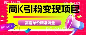 商K引粉变现项目,高客单价精准流量【揭秘】-学习资源库