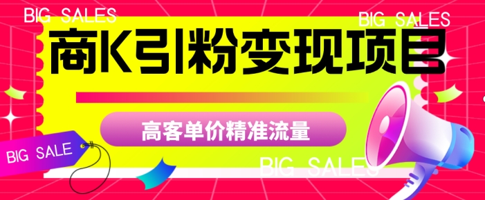 商K引粉变现项目，高客单价精准流量【揭秘】-学习资源库