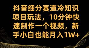 抖音细分赛道冷知识项目玩法,10分钟快速制作一个视频,新手小白也能月入1W+【揭秘】-学习资源库