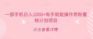 一部手机日入1000+有手就能操作男粉蜜桃计划项目【揭秘】-学习资源库