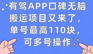 有驾APP口碑无脑搬运项目又来了,单号最高110块,可多号操作-学习资源库