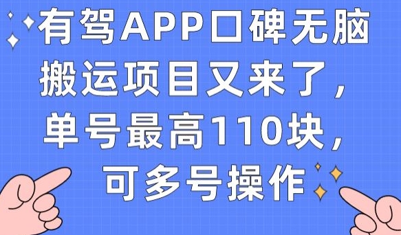 有驾APP口碑无脑搬运项目又来了，单号最高110块，可多号操作-学习资源库