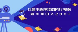 抖音小程序挂载风行视频,新手可日入200+-学习资源库