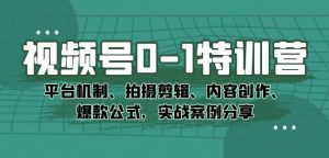 视频号0-1特训营:平台机制、拍摄剪辑、内容创作、爆款公式,实战案例分享-学习资源库