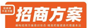 王昕招商方案,解构招商方案意识形态,精准把握渠道代理基本法-学习资源库
