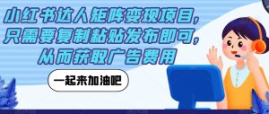 小红书达人矩阵变现项目,只需要复制粘贴发布即可,从而获取广告费用-学习资源库