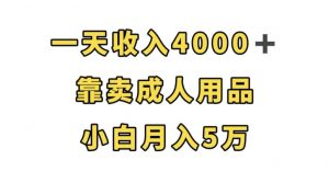 一天收入4000+,靠卖成人用品,小白轻松月入5万【揭秘】-学习资源库