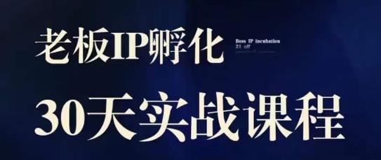 诸葛·2023老板IP实战课，实体同城引流获客，IP孵化必听-学习资源库
