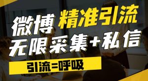 微博最新引流技术,软件提供博文评论采集+私信实现精准引流【揭秘】-学习资源库
