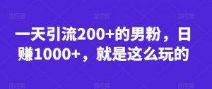一天引流200+的男粉,日赚1000+,就是这么玩的【揭秘】-学习资源库