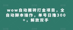 wow自动搬砖打金项目,全自动脚本操作,单号日撸300+,解放双手【揭秘】-学习资源库