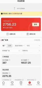 拼多多无人直播不封号玩法,0投入,3天必起,日入1000+-学习资源库