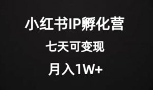价值2000+的小红书IP孵化营项目,超级大蓝海,七天即可开始变现,稳定月入1W+-学习资源库