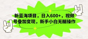 新蓝海项目,日入600+,视频号叠加变现,新手小白无脑操作【揭秘】-学习资源库