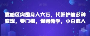 靠暗区突围月入六万,代肝护航多种变现,零门槛,保姆教学,小白必入【揭秘】-学习资源库