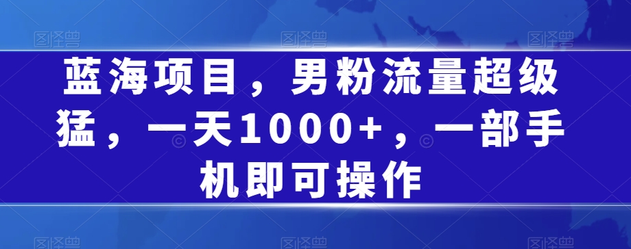 蓝海项目，男粉流量超级猛，一天1000+，一部手机即可操作【揭秘】-学习资源库
