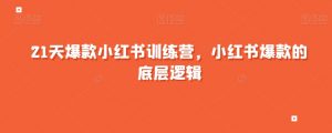 21天爆款小红书训练营,小红书爆款的底层逻辑-学习资源库