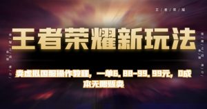 王者荣耀新玩法,卖虚拟国服操作教程,一单6.88-99.99元,0成本无限贩卖【揭秘】-学习资源库