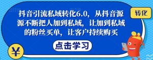 抖音引流私域转化6.0,从抖音源源不断把人加到私域,让加到私域的粉丝买单,让客户持续购买-学习资源库