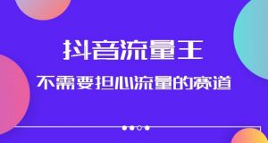 抖音流量王,不需要担心流量的赛道,美女图文音乐号升级玩法(附实操+养号流程)-学习资源库