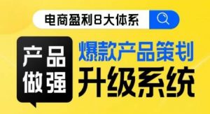 电商盈利8大体系 ·产品做强爆款产品策划系统升级线上课,全盘布局更能实现利润突破-学习资源库