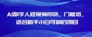 AI数字人短视频带货,门槛低,适合新手小白可做的项目-学习资源库