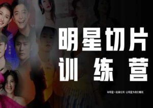 王子·明星切片线上训练营(2023),和明星一起拿红利,让明星为我们赚钱-学习资源库