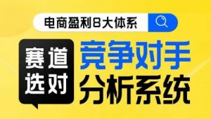电商盈利8大体系·赛道选对,竞争对手分析系统线上课-学习资源库