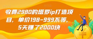 收费2980的塔罗ip打造项目,单价198-999不等,5天赚了2000块【揭秘】-学习资源库