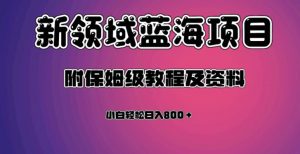 虚拟资源蓝海领域新项目,轻松日入800+,附保姆级教程及资料-学习资源库