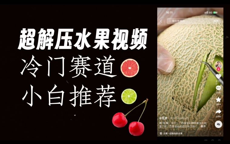 超冷门抖音赛道，水果解压视频0风险，非常容易爆火【揭秘】-学习资源库