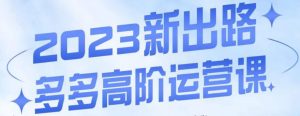 大炮·多多高阶运营课,3大玩法助力打造爆款,实操玩法直接亮出干货-学习资源库