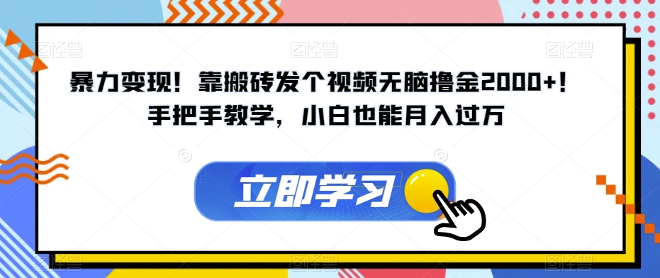 暴力变现！靠搬砖发个视频无脑撸金2000+！手把手教学，小白也能月入过万【揭秘】-学习资源库