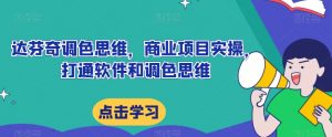 达芬奇调色思维,商业项目实操,打通软件和调色思维-学习资源库