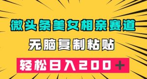 微头条冷门美女相亲赛道,无脑复制粘贴,轻松日入200+【揭秘】-学习资源库
