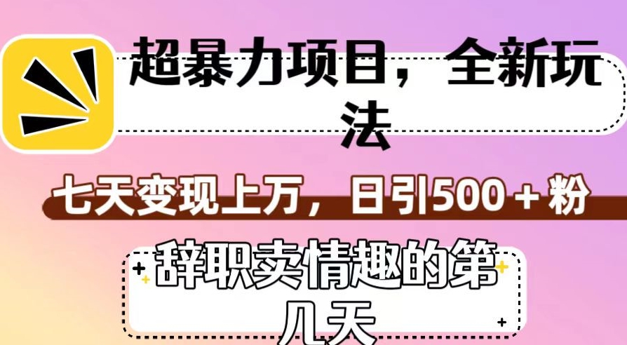 超暴利项目，全新玩法（辞职卖情趣的第几天），七天变现上万，日引500+粉【揭秘】-学习资源库