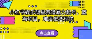 外面收费2980的视频号流量主项目,作品制作简单无脑,单账号日入过千-学习资源库