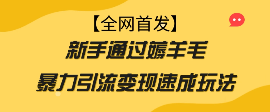 【全网首发】新手通过薅羊毛暴力引流变现速成玩法-学习资源库