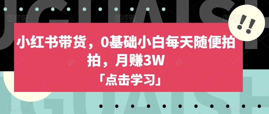 小红书带货，0基础小白每天随便拍拍，月赚3W【揭秘】-学习资源库