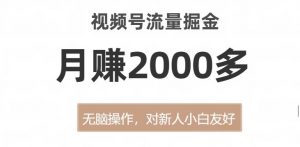 视频号流量掘金,无脑操作,对新人小白友好,月赚2000多【揭秘】-学习资源库