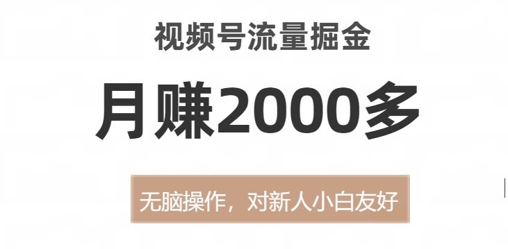 视频号流量掘金，无脑操作，对新人小白友好，月赚2000多【揭秘】-学习资源库
