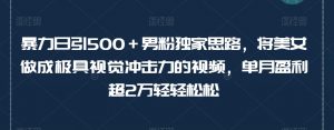 暴力日引500+男粉独家思路,将美女做成极具视觉冲击力的视频,单月盈利超2万轻轻松松-学习资源库