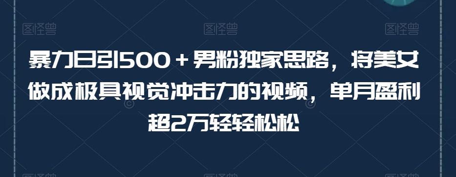暴力日引500＋男粉独家思路，将美女做成极具视觉冲击力的视频，单月盈利超2万轻轻松松-学习资源库