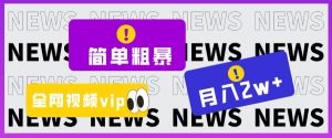 简单粗暴零成本,高回报,全网视频VIP掘金项目,月入2万+【揭秘】-学习资源库