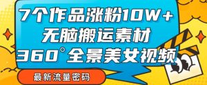 7个作品涨粉10W+,无脑搬运素材,全景美女视频爆款玩法分享【揭秘】-学习资源库