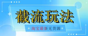 首发价值2980最新淘宝无货源不开车自然流超低成本截流玩法日入300+【揭秘】【1016更新】-学习资源库