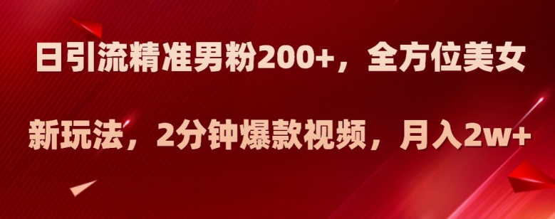 日引流精准男粉200+，全方位美女新玩法，2分钟爆款视频，月入2w+【揭秘】-学习资源库