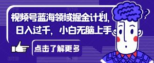 视频号蓝海领域掘金计划,日入过千,小白无脑上手【揭秘】-学习资源库