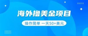 撸美金项目无门槛操作简单小白一天50+美刀-学习资源库